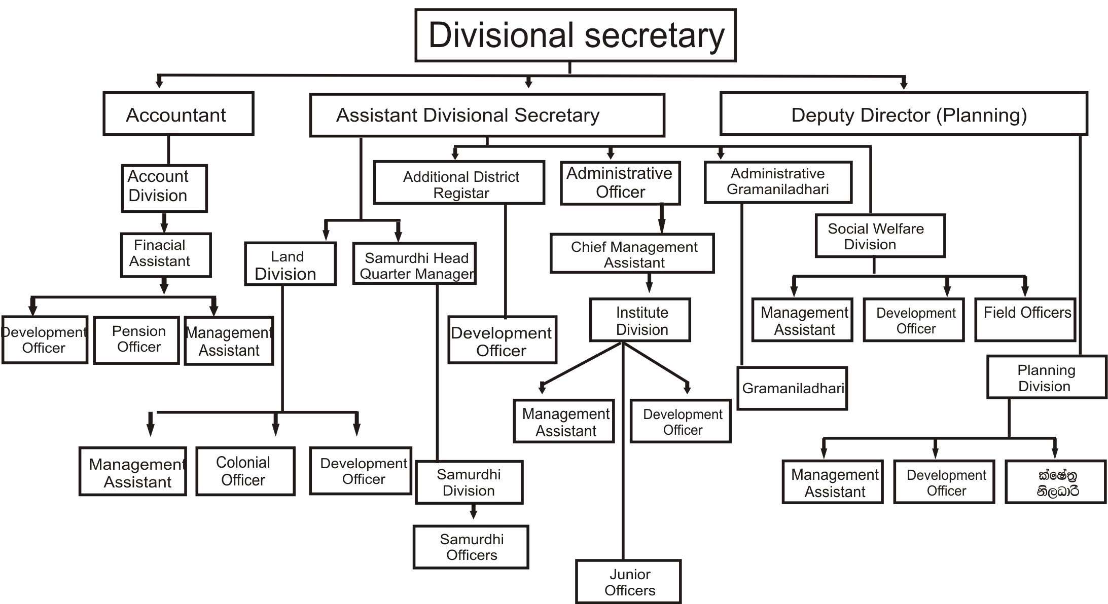 Organization Chart 2
